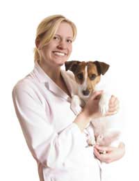 Dog Breeder Health Tests Health